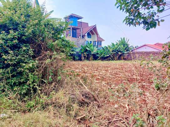 Plot for sale in Mugutha Ruiru image 3