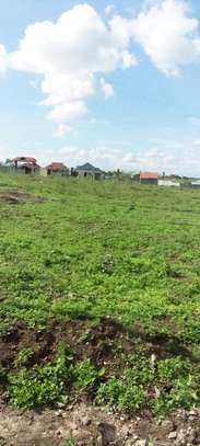 AFFORDABLE 50 BY 100 LAND FOR SALE IN KIMALAT,KITENGELA image 1