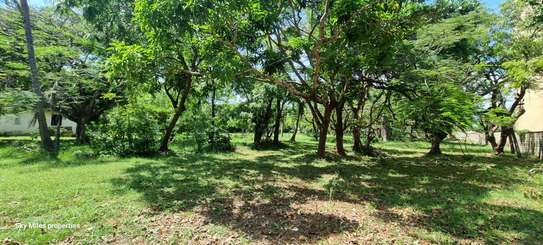 2.5 ac Land at Serena image 13