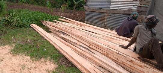 Timber supply image 6