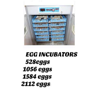 Automatic Chicken Eggs Incubator 528 Eggs image 1
