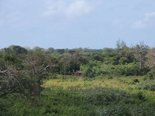 1,012 m² Residential Land at Diani Beach Road image 4