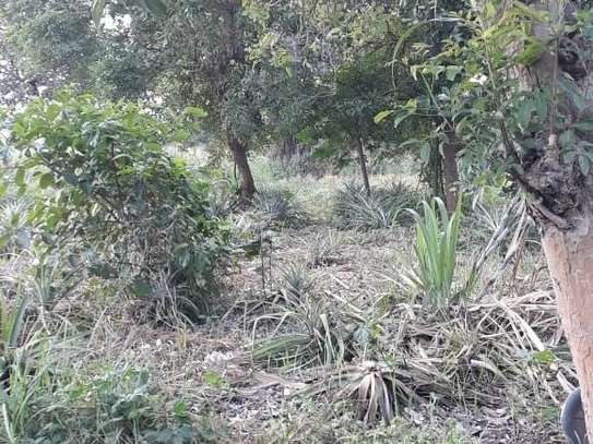 80,940 m² Commercial Land in Kwale County image 22