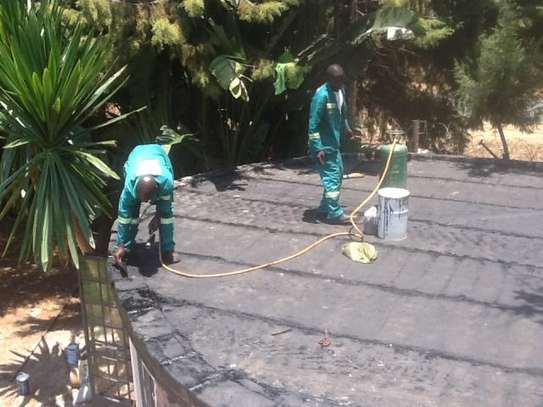 Best Cleaning/ Gardening/  Pest Control & Pool Maintenance co.Nairobi image 8