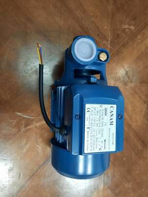 Booster Pump Canam 1.0hp image 1