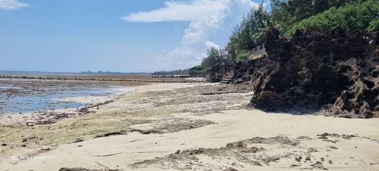 2.5 ac Land at Serena image 28