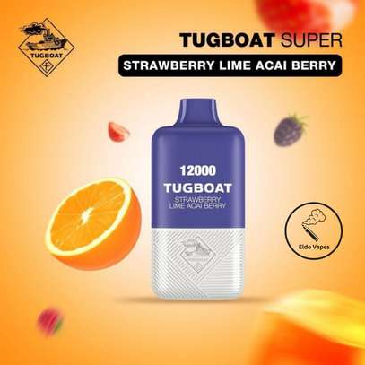 TUGBOAT SUPER 16000 Puffs Vape FULL KIT image 7