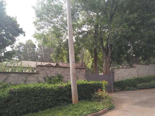 4 Bed House with En Suite at Peponi Road image 14