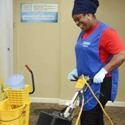 Professional Domestic Workers & Nanny Services in Akiba image 2