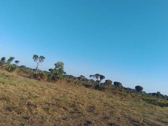 33 ac Commercial Land at Kiwengu image 9