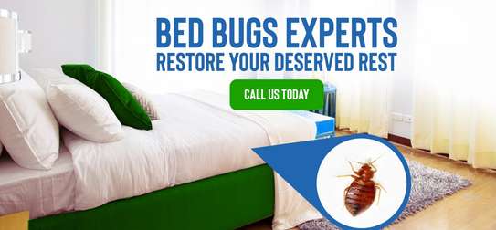 Bed Bug Fumigation Service | 24hr Same Day South C, South B image 13