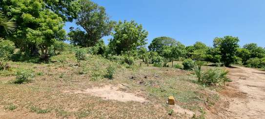 1,000 ft² Land at Kuruwitu image 17