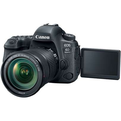 Canon EOS 6D Mark II with 24-105mm f/3.5-5.6 Lens image 4