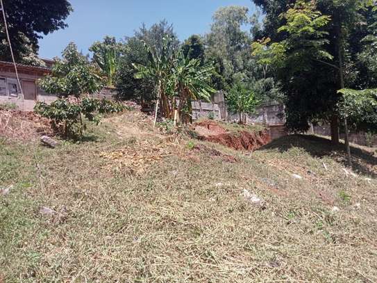 0.8 ac Land at Kitisuru image 7