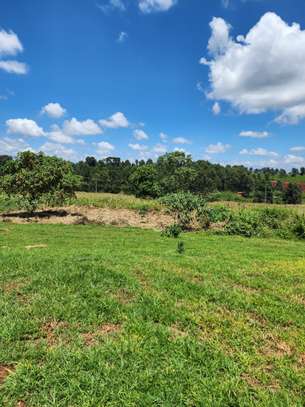 Exclusive 1/4 Acre plot in Migaa, Kiambu County image 3