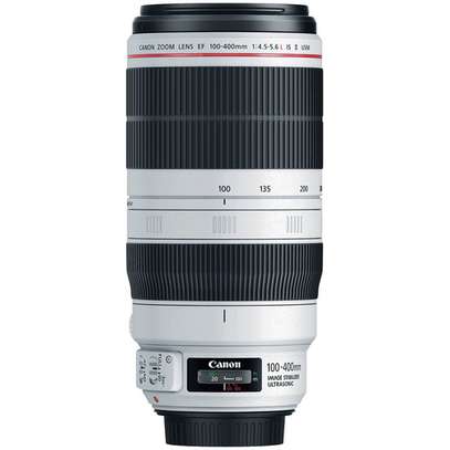 Canon EF 100-400mm f/4.5-5.6L IS II USM Lens image 2