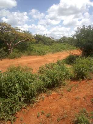 163 Acres Touching Makindu-Wote Road Is Available For Sale image 2