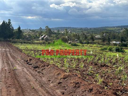 0.05 ha Land at Gikambura image 15