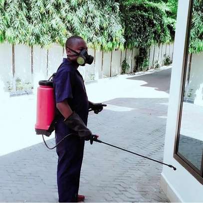 BED BUG Fumigation and Pest Control Services in Mombasa Road image 4