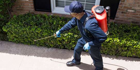 Bed Bugs Pest Control Services in Nairobi image 1