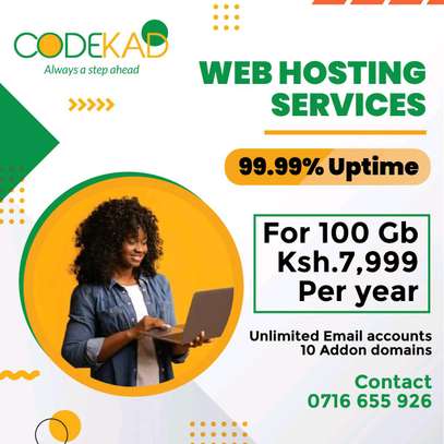 Web hosting services image 3