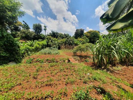 4 Bed Townhouse with En Suite at Loresho image 10