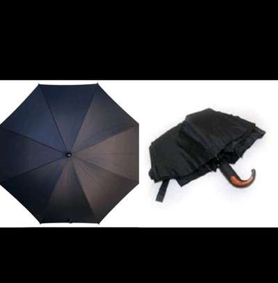 Portable Umbrella image 1