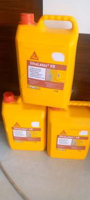 Sika latex image 3