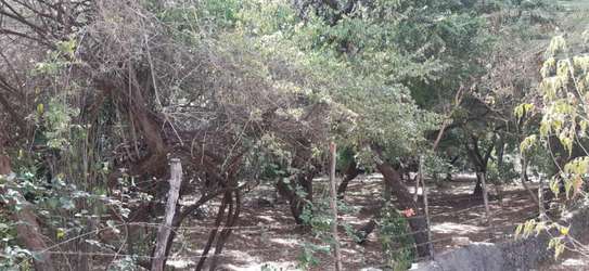 1 Acre Piece Of Land In Casuarina Road Malindi For Sale image 1
