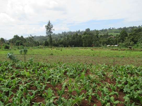 3.25 Acres Of Land For Sale in Ruku/Wangige image 2