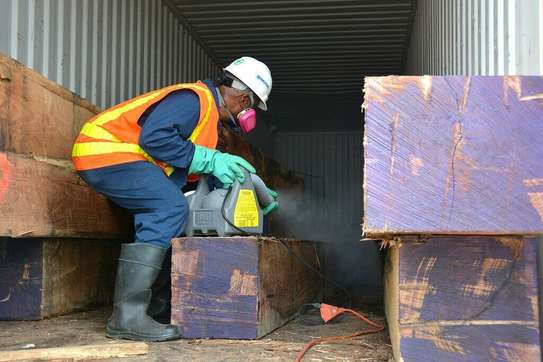 Bed Bug Exterminators Tatu City/Kamiti Corner/Mugumo/Ruai image 1