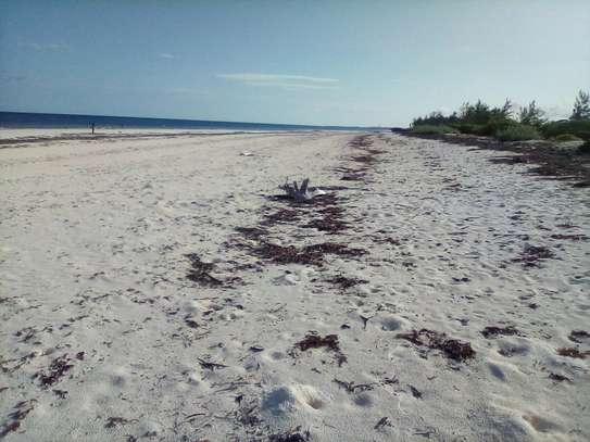 50-Acre Beach Plot For Sale in Bofa/Kilifi image 9