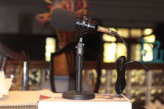 Recording Microphone & table mic stand image 1