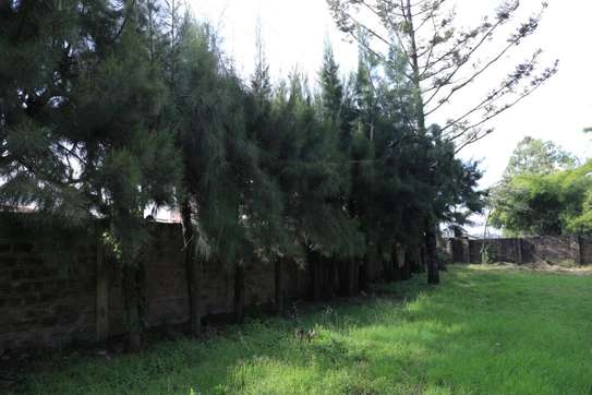 Residential Land in Lavington image 5