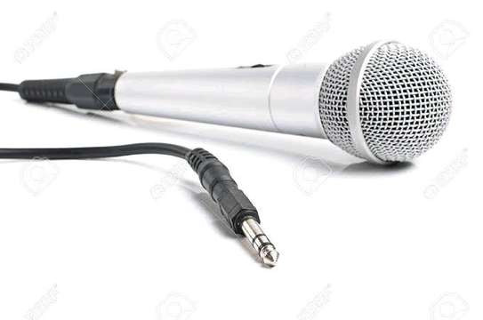 New Dynamic microphone image 1