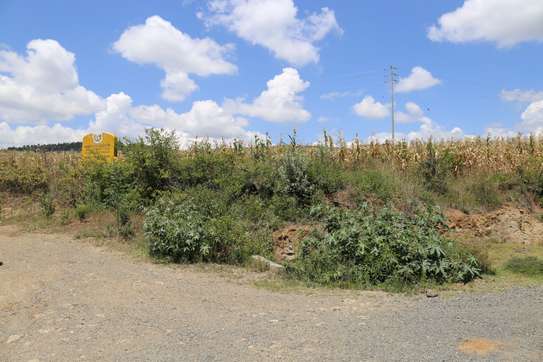 50*100 Land For Sale In Nakuru image 5
