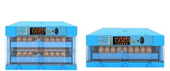 Imported Quality Egg Incubators image 3