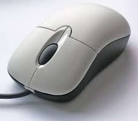 mouse image 1