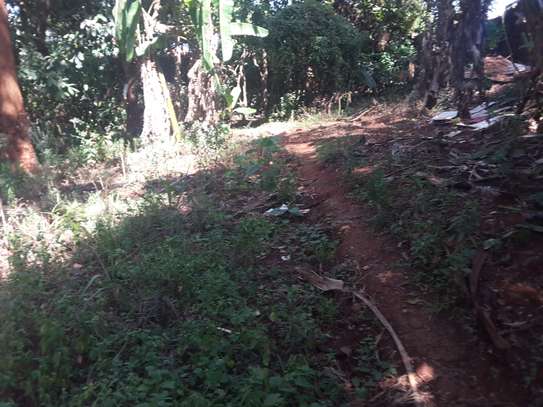 Very Spacious 6 BR House plus Sqs in Ngong image 3