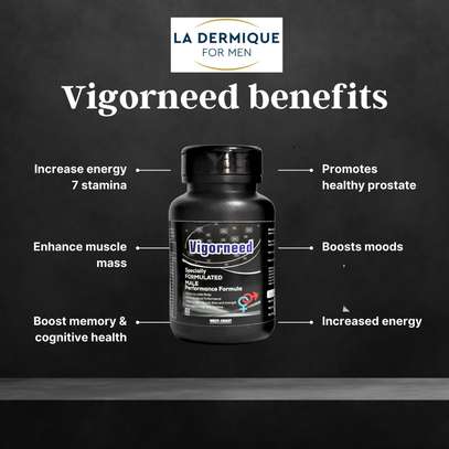 Vigorneed Heal Prostate And Increase Male Potency image 3