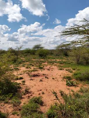 Land for sale! image 4