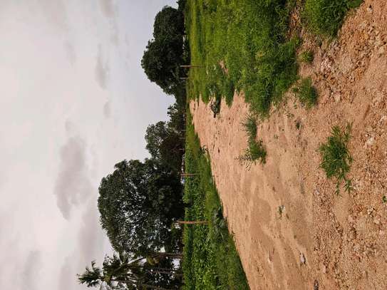 MALINDI KIZINGO PRIME PLOTS. image 4