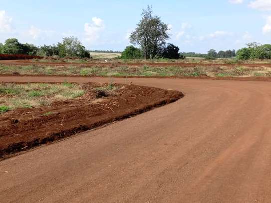 Zuri Springs plots image 1