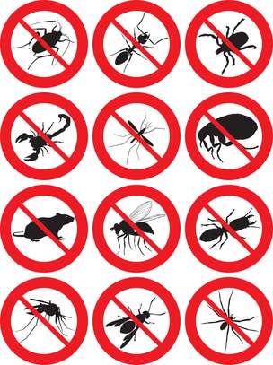 Bed Bug Pest Control In Highridge/Karura/Kangemi image 7