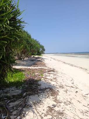 12 Acres of Front Row Beach Plot in Kwale Is For Sale image 1