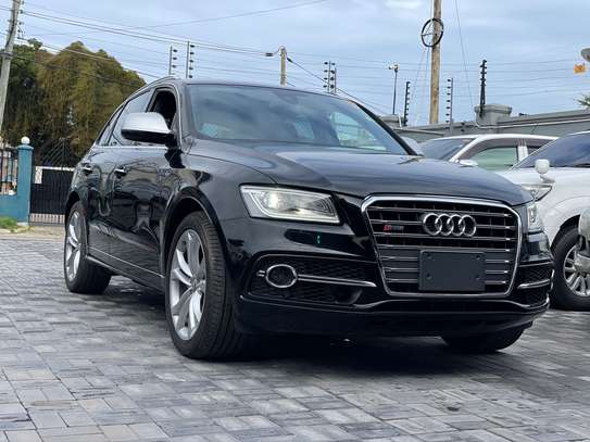 Audi SQ5 image 5