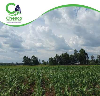 29 Acres For Sell Harambee Area, Kakamega County image 3