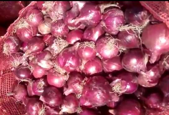 Fresh onions image 1