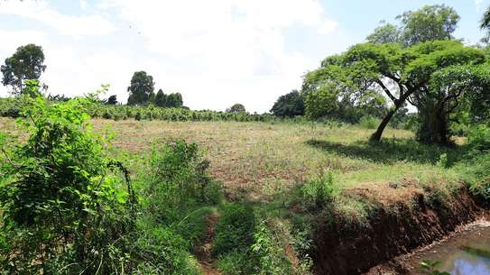 Land at Gatanga Road image 9