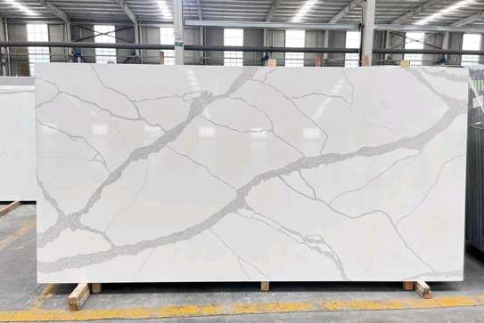 White Carara Granite image 5